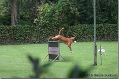 bild067