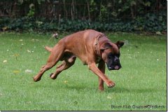 bild094