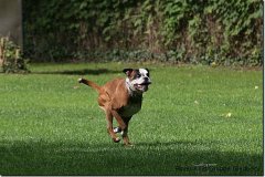 bild098