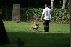 bild099