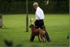 bild102