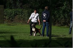 bild106