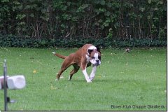 bild107