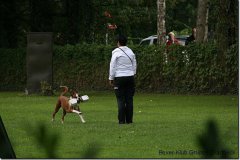 bild108