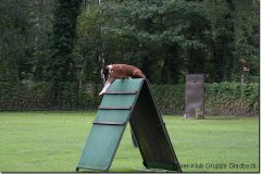 bild110