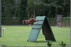 bild111