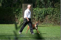 bild112