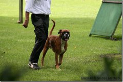 bild113