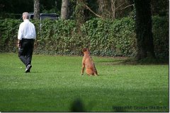 bild114