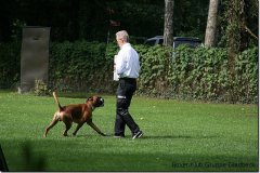 bild117