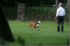 bild118