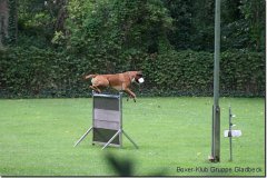 bild119