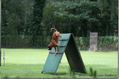bild121