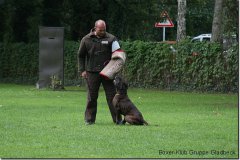 bild137