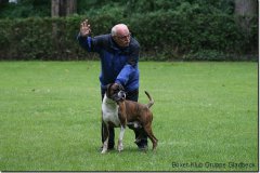 bild141