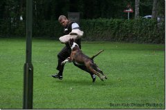 bild143
