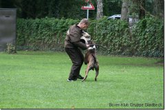 bild144