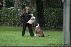 bild145