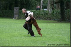 bild151