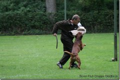 bild152