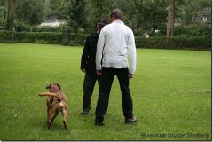bild165