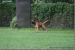bild166