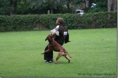 bild168