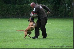 bild170