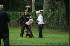 bild178