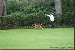 bild191