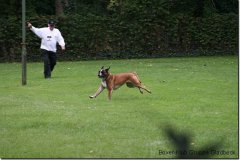 bild192