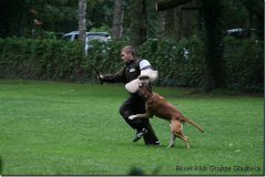 bild193