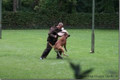 bild194