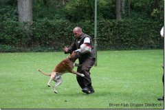 bild197