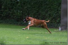 bild199