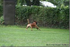 bild231