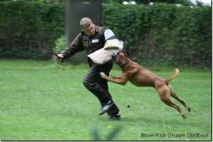 bild232