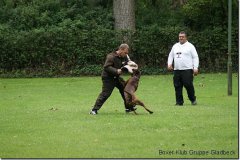 bild244