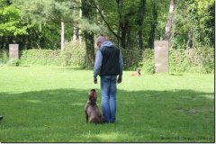 bild003