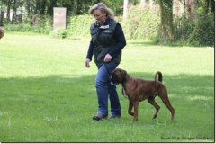 bild004