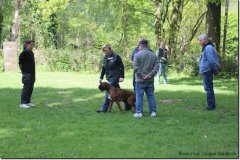 bild005