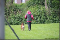 bild010