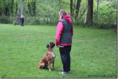 bild012