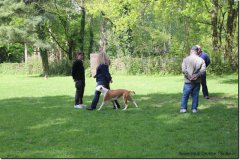 bild015