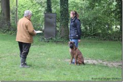 bild020