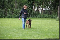 bild023