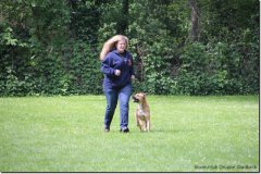 bild026