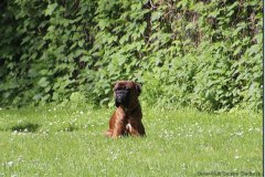 bild029