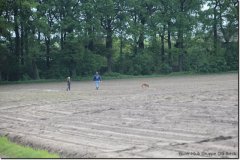 bild035