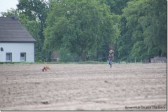 bild037